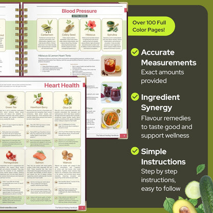 THE NATURAL HEALING HANDBOOK